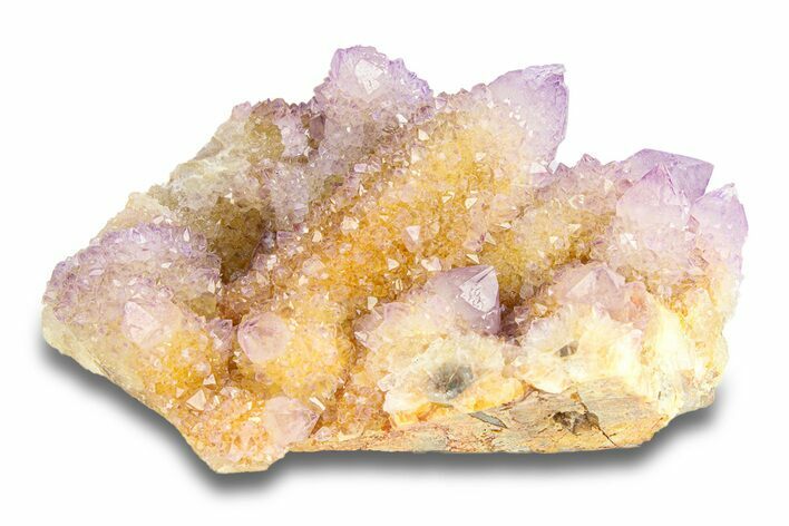 Spectacular Cactus Amethyst Crystal Cluster - South Africa #284704